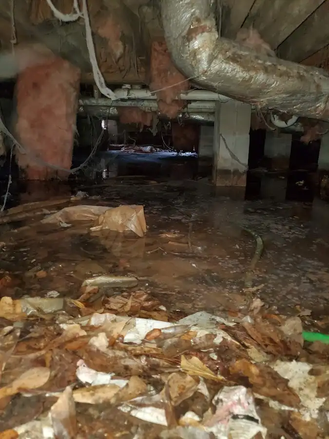 Crawl space flood assessment for Commercial Water Damage Restoration in Las Cruces